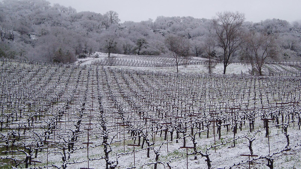 vineyard-eaglepoint-ranch-snow-1000w